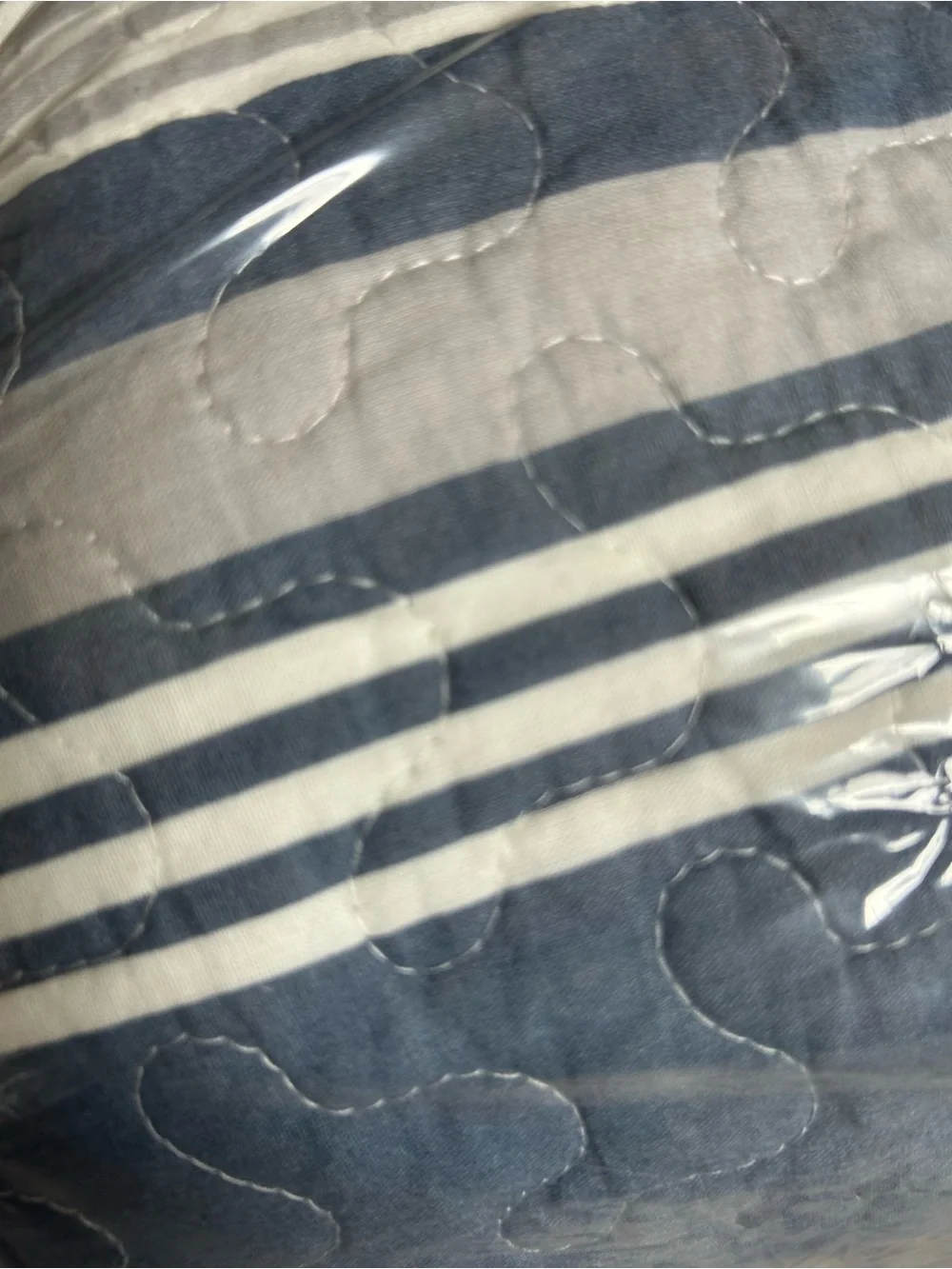 Reversible Floral and Stripe Quilt Set in Blue and White